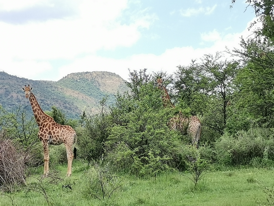 Commercial Property for Sale in Vredefort Rural Free State